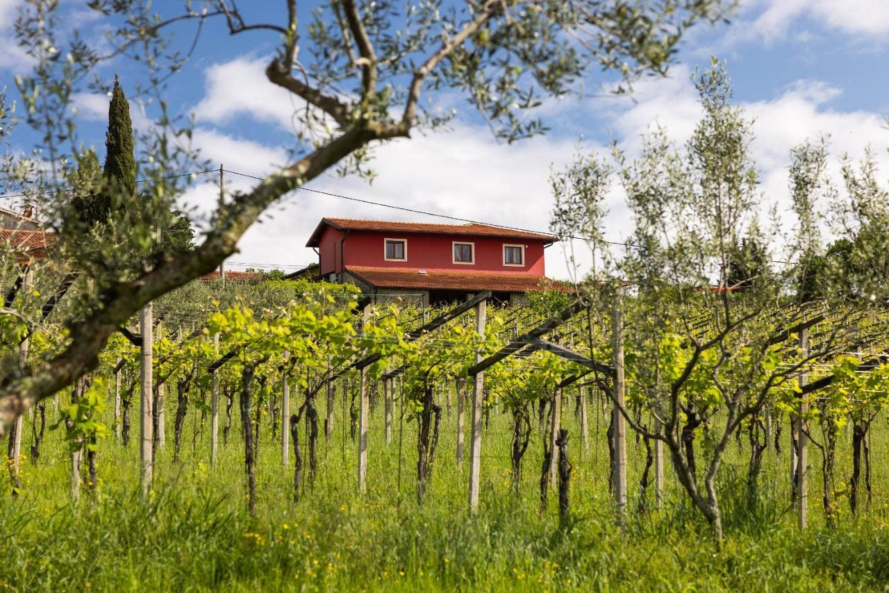 Touristfarm - Apartments "Red Fairytale" Marezige Exterior photo